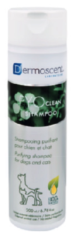 PYOclean® Şampuan